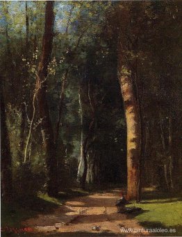 en el bosque en el bosque