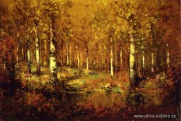 Abedules de otoño, Central Park Abedules de otoño, Central Park