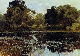 Estanque cubierto de maleza Estanque cubierto de maleza