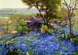 La cantera La cantera