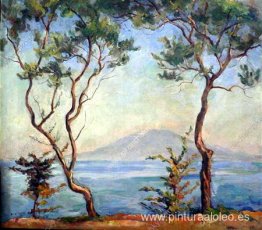 Sorrento. Monte Vesubio. Dos olivos. Sorrento. Monte Vesubio. Dos olivos.