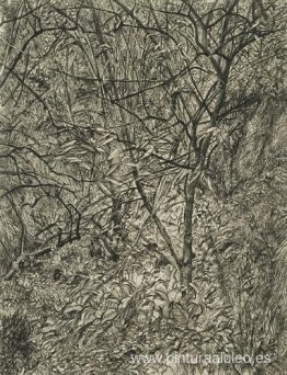 Jardín en invierno Jardín en invierno