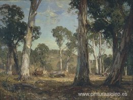 Acarreo de madera Acarreo de madera