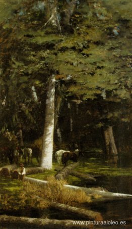 en el bosque en el bosque
