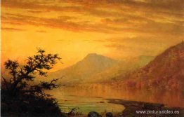 Chestnut Grove, Dashville, Nueva York Chestnut Grove, Dashville, Nueva York