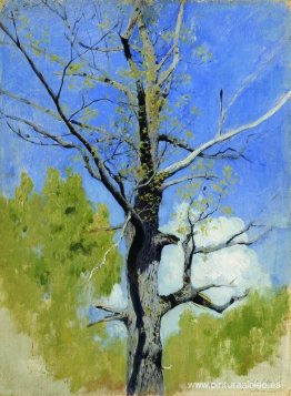 Tronco de roble floreciente Tronco de roble floreciente