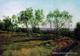 Olivos junto al cementerio de Albano. Luna nueva. Olivos junto al cementerio de Albano. Luna nueva.