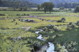 Pradera de Walpole Pradera de Walpole