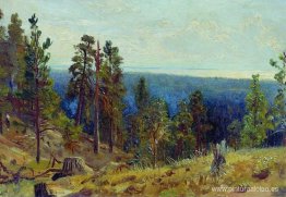 Horizonte forestal Horizonte forestal