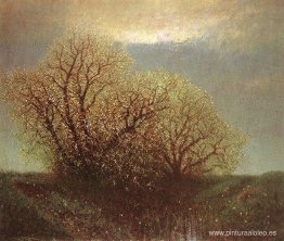 árboles florecientes árboles florecientes