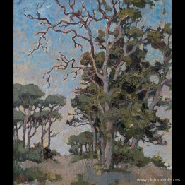 Estudio de los árboles de liquidámbar Estudio de los árboles de liquidámbar