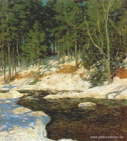 Detenido por el hielo Detenido por el hielo