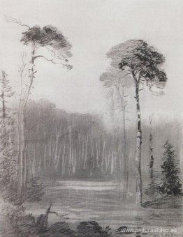 Paisaje Paisaje