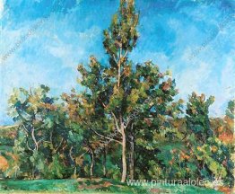 Árbol contra el cielo Árbol contra el cielo