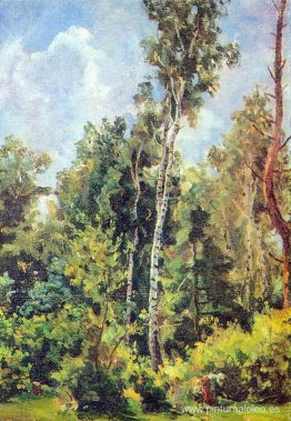 en el bosque en el bosque