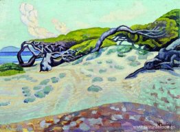 Pinos en Rafina Pinos en Rafina