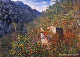 El Valle del Sasso, Efecto Azul El Valle del Sasso, Efecto Azul