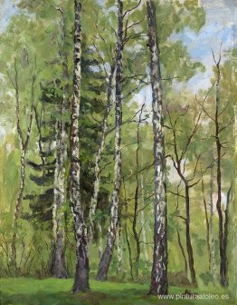 dia de primavera dia de primavera