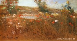 Amapolas, Islas de Shoals Amapolas, Islas de Shoals