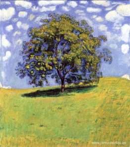 El árbol de nueces El árbol de nueces
