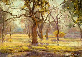 Luz del sol después de la lluvia Luz del sol después de la lluvia