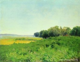 Pradera húmeda 1. Estudio Pradera húmeda 1. Estudio