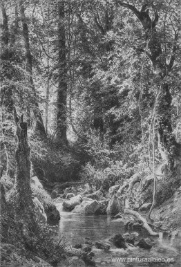 Arroyo del bosque Arroyo del bosque
