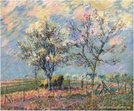 Primavera Primavera