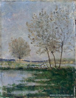 Prados inundados Prados inundados