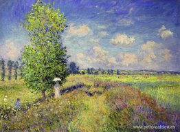 El verano, campo de amapolas El verano, campo de amapolas