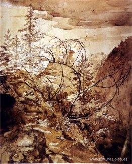 árboles y rocas árboles y rocas