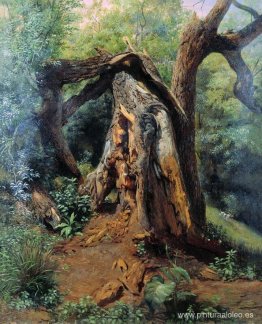 un arbol viejo un arbol viejo