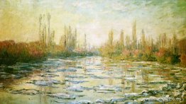 Los témpanos de hielo Los témpanos de hielo