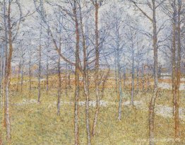 paisaje primaveral paisaje primaveral