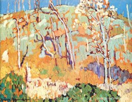 Ladera estampada Ladera estampada