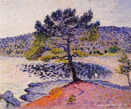 la playa, tarde la playa, tarde