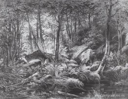 Barrios marginales (Vista de la isla de Valaam) Barrios marginales (Vista de la isla de Valaam)