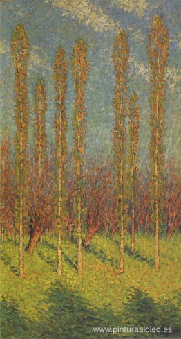 Álamos en primavera Álamos en primavera