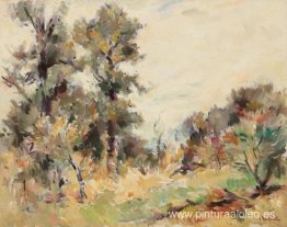 paisaje de verano paisaje de verano