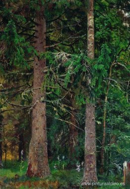 bosque de abetos bosque de abetos