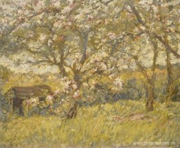 flor de manzana flor de manzana