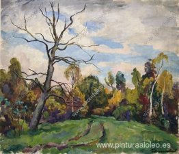 El camino. Madera seca. El camino. Madera seca.