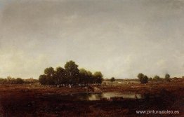 Tierra pantanosa Tierra pantanosa