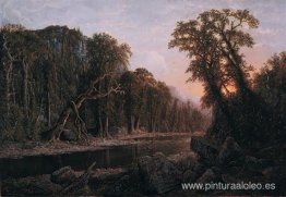 El acantilado almenado El acantilado almenado