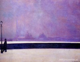 Neva, niebla ligera Neva, niebla ligera