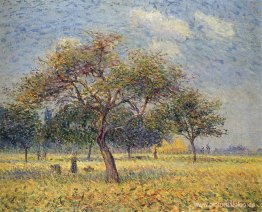 Manzanos en octubre Manzanos en octubre