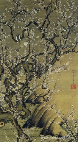 baika shokinzu baika shokinzu