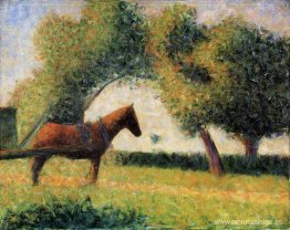 caballo y carro caballo y carro