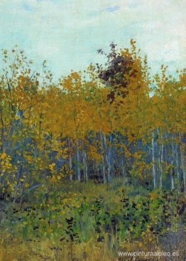 bosque de álamos bosque de álamos