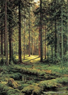 Bosque de Coníferas. día soleado Bosque de Coníferas. día soleado